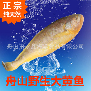 ɽҰʴƻϣʲƷ