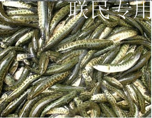 磨磩