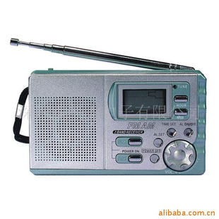 AM/FM˫