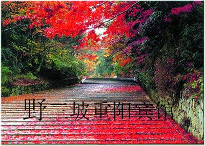 ҰΰٲϴȻ