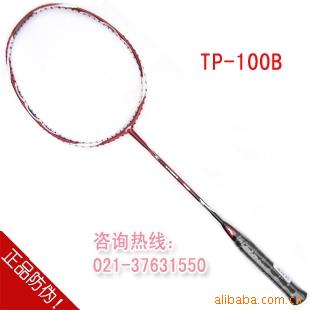 TP-100BëĴα