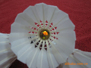 ʹĳݱ------ë