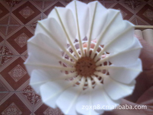 YY05ű׼ںëȶʹ