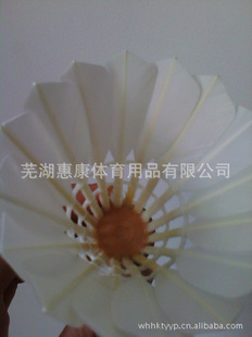 ѼޱëԼ۱ñѵ