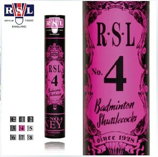 ʨ4RSL4ëʹ㶫
