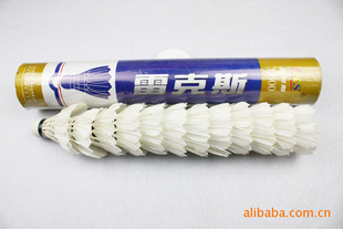 ë˹L600