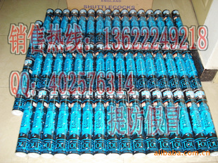 rslNo.6ë