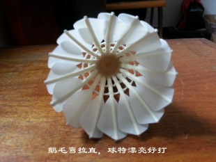 ֱʹʶëг