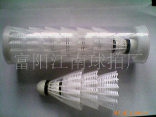 BS-001ë