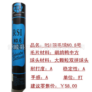 ֱRSIѬëNO.6ʤһʨ׼