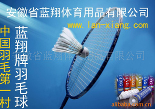 厂家娱乐休闲用羽毛球,价格实惠,品良
