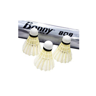 Bonny808ëʹ12ֻװ