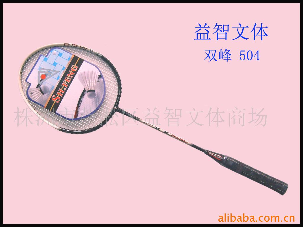 ˫ë-504