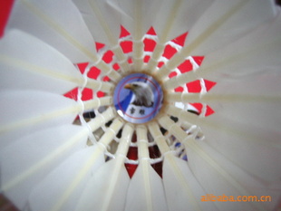 ߽ë25괩ߴʦܱ---