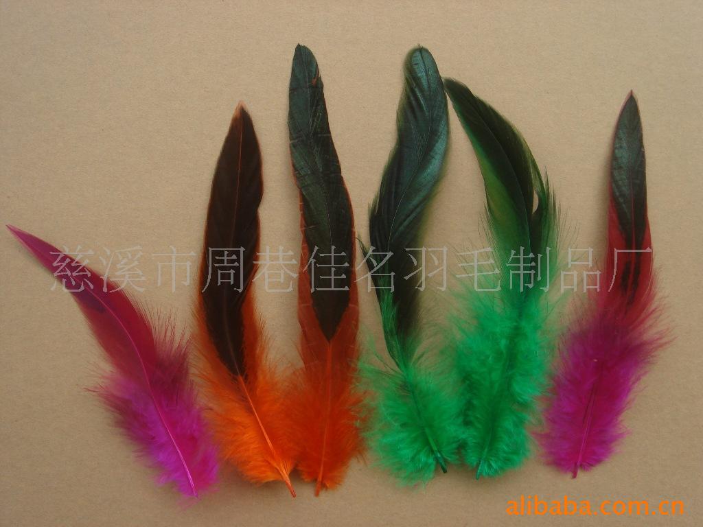 批发染羽毛,染鸡毛,羽毛原料,羽毛工艺制品