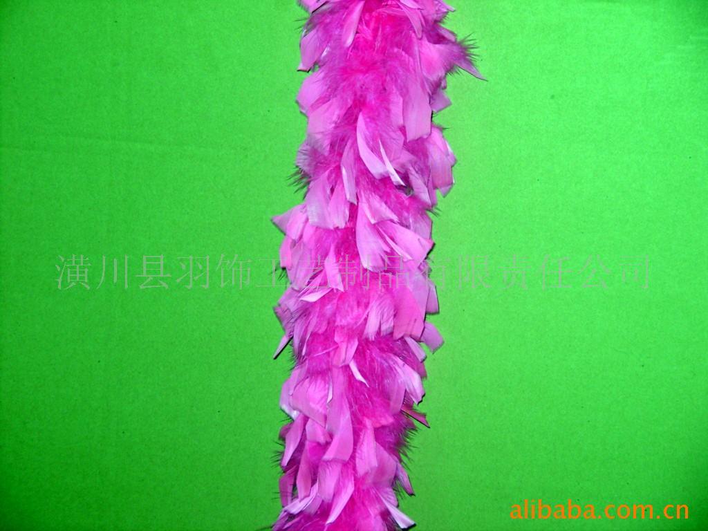 稀奇羽毛制品(图)及羽毛制品,羽毛工艺,野鸡毛