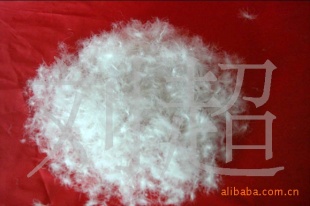 ˮϴϸ