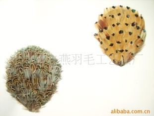 头饰,帽饰羽毛片