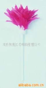 羽毛.羽毛工艺.鸵鸟毛.雀毛.