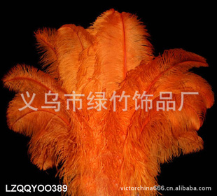 ϷǽëLZQQYOO389