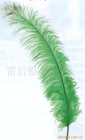 ëƷ/ëƷ/ë