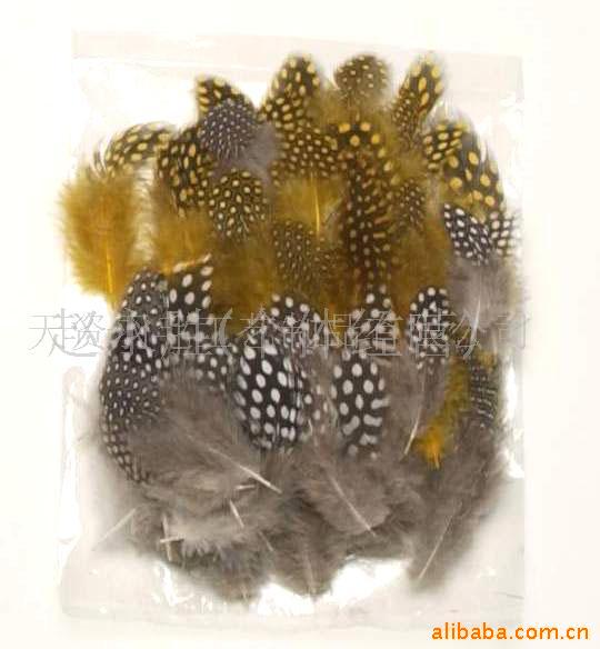 羽毛工艺,鸵鸟毛,雀尾各种野擒毛,鸡毛等(图)