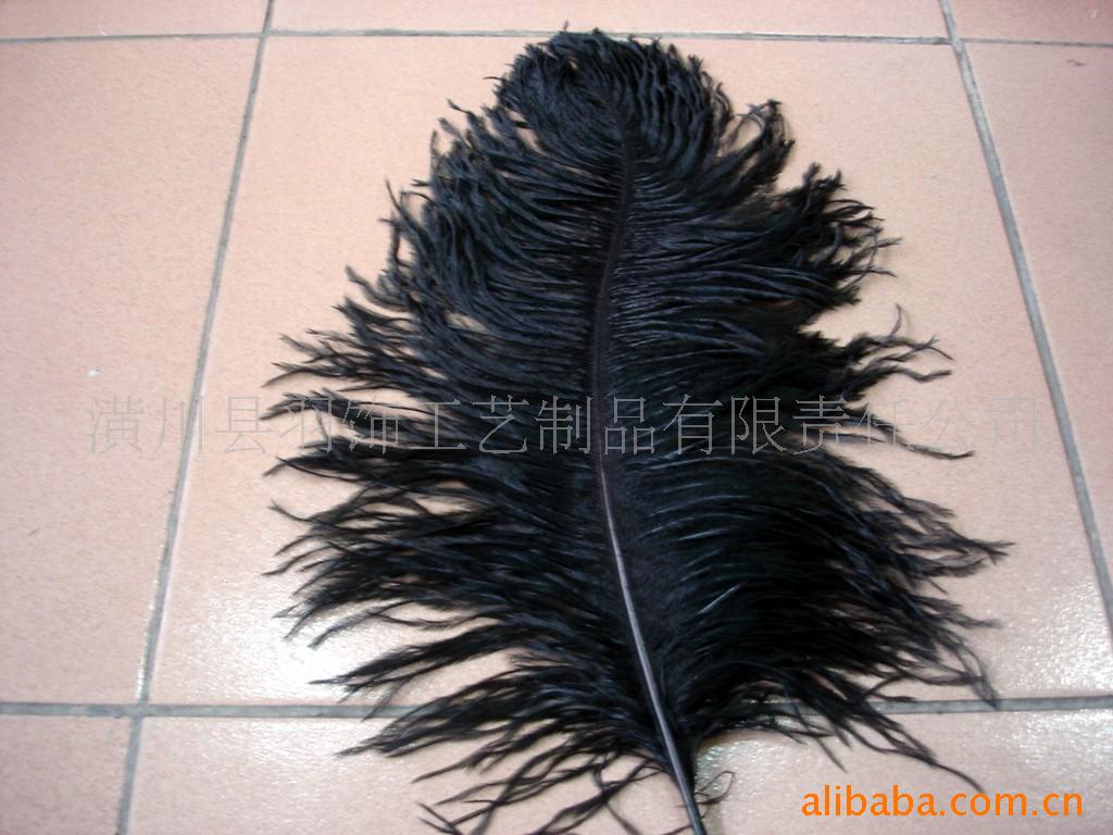 羽毛条,羽毛饰品,鸵鸟毛,野鸡毛