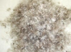 Ҷ޳ֱƷˮϴҶ޺40%
