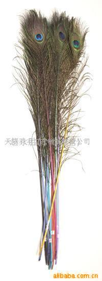 羽毛工艺,雀尾,,鸡毛,鸵鸟毛,翅膀