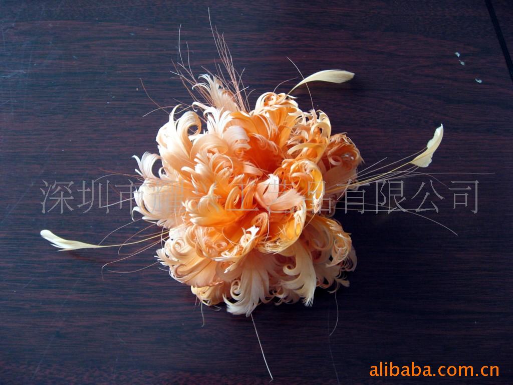 各种羽毛和羽毛头饰(图)