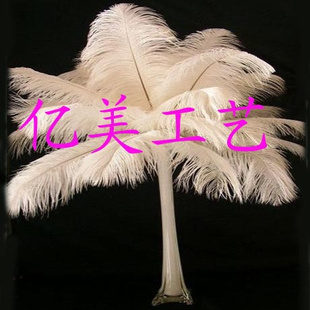 ҿʽնëFWB-101