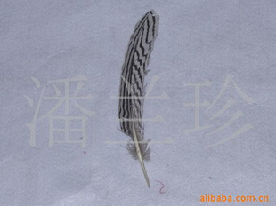 ֳȰҰë