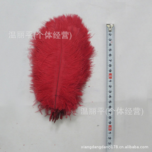 ֱëߴë/ë15-20cmֻ