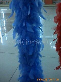 羽毛,羽毛工艺,天使翅膀,羽毛围巾,鸵鸟毛等(图)