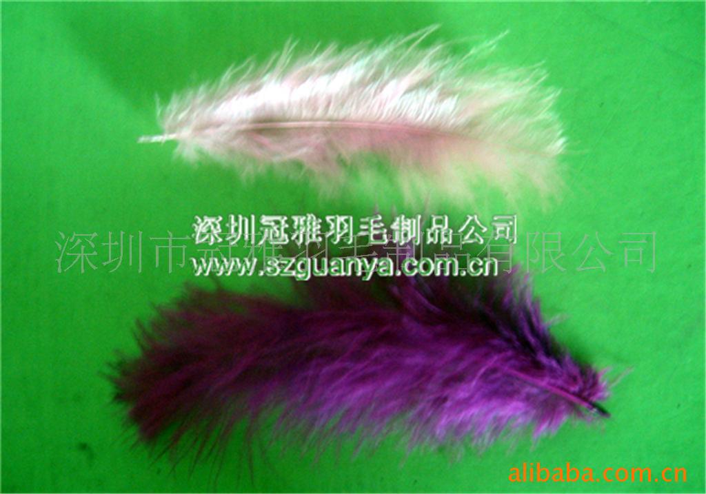 火鸡羽毛