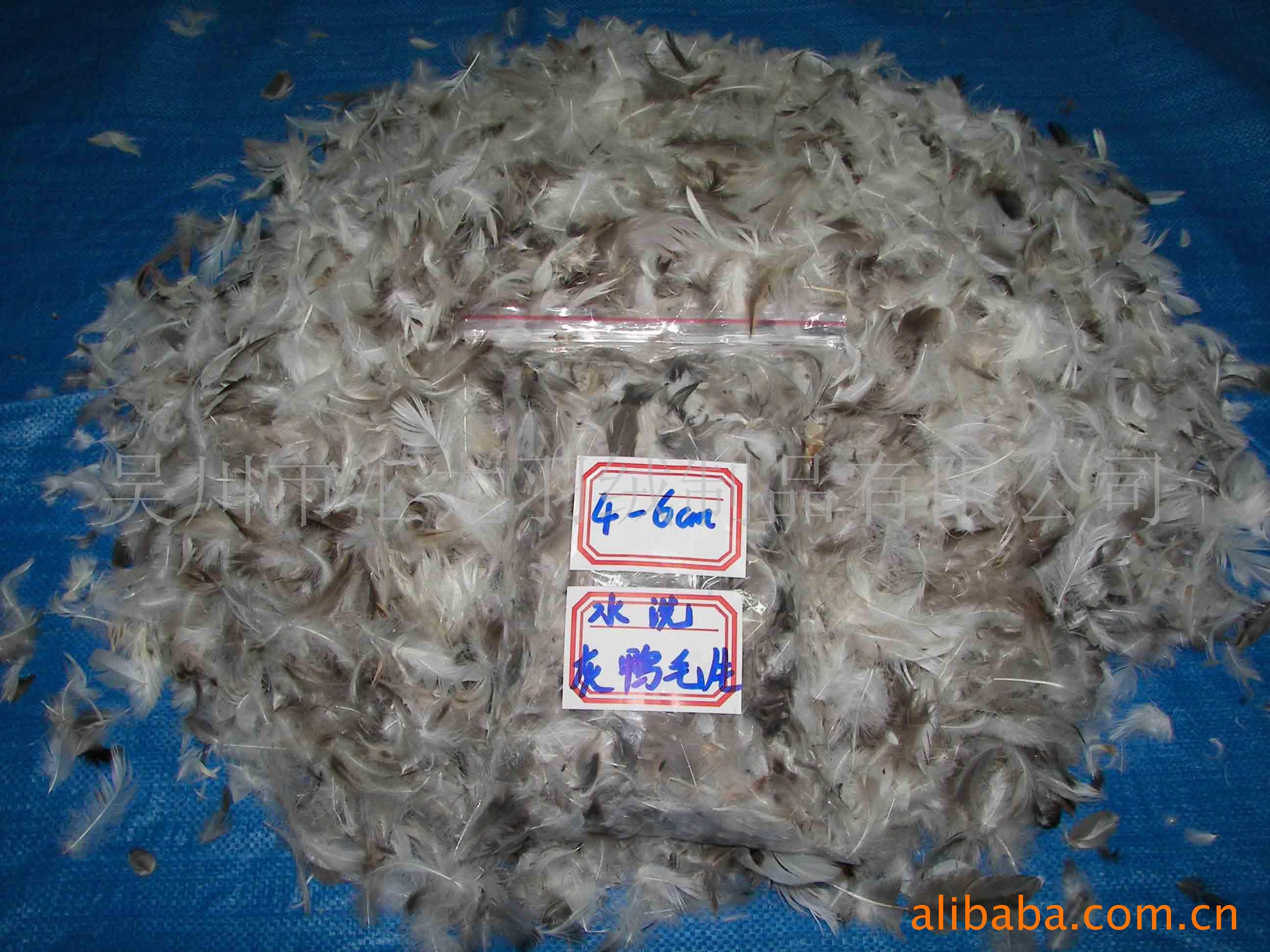 ޣëѼ4޷ޱ
