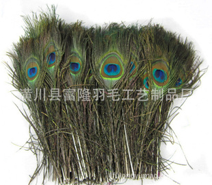 ëȸë25-30cmë廨ë