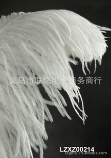 Ϸǽ45-50CMëëLZXZ00214