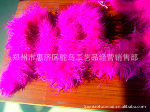 批发订做无污染鸵鸟毛条,鸵鸟毛条,彩鸵鸟毛条,毛条