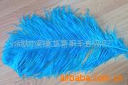 ~羽毛产品~(图)、羽毛条、羽绒条、羽毛制品
