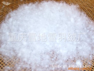 쳧ֱƷ95%ˮϴ