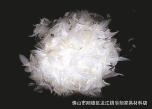 ֱ޹