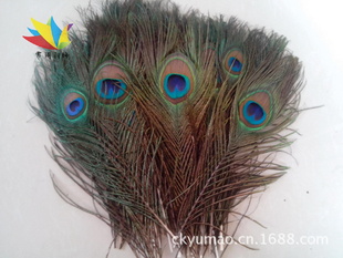 9.425-30cmȸëֻȸëֻ