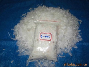 汇龙羽绒厂直接水洗羽绒羽毛,白鸭毛片,抱枕填充料