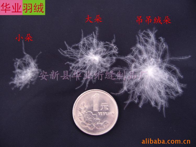 批发95%吊吊羽绒