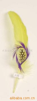 羽毛花,羽毛带,鸵鸟毛,雀尾,毛条,羽毛扇(图)