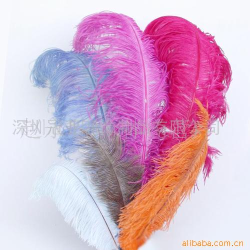 鸵鸟毛,羽毛工艺(图)
