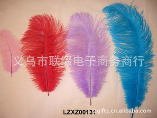 ̨~~Ʒ~Ӱӵ~20-25ëLZXZ00131