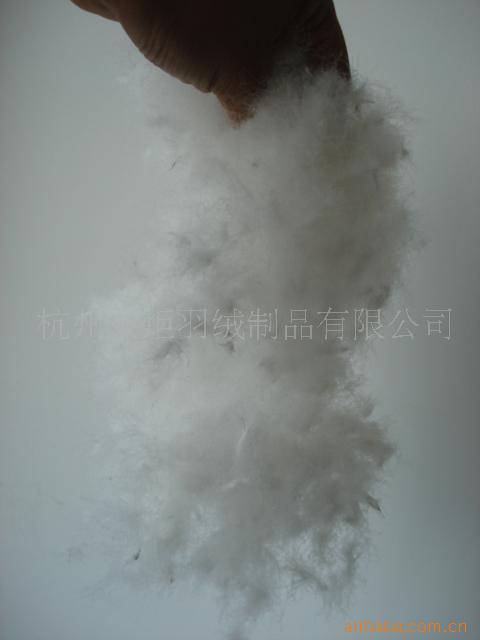 吊吊羽绒