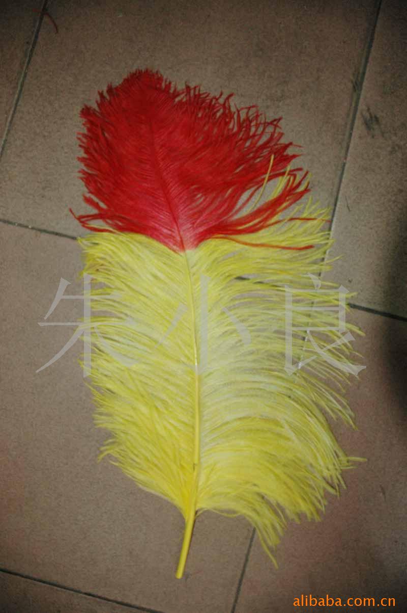 羽毛,鸵鸟毛,羽毛工艺品